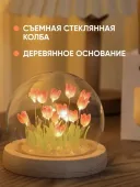 Фото 4 — Нічник-тюльпан світлодіодний Spherical Lamp HA-42, лампа DIY "умілі ручки"