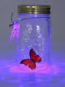 Фото 2 — Нічник декоративний Метелик у банці Butterfly, інтерактивний, з підсвіткою