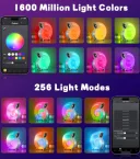 Фото 2 — Смарт-колонка-нічник Conch Music Light 4 в 1, Bluetooth, 256 режимів підсвітки