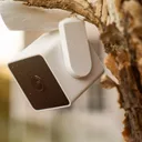 Фото 4 — Камера видеонаблюдения WYZE Cam Pan v3, 1080p HD, Wi-Fi, поворотная, наружная/внутренняя, IP65