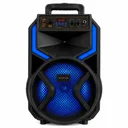 Фото 3 — Колонка портативна Ailiang KOLAV-120E Bluetooth, 12 дюймів, 20 Вт