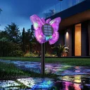 Photo 2 — Outdoor solar 3D Butterflies light with color-changing effect / Solar light Butterfly 2-in-1 26X-115