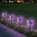 Photo 6 — Outdoor solar 3D Butterflies light with color-changing effect / Solar light Butterfly 2-in-1 26X-115