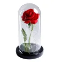 Photo 3 — Rose in a glass dome with LED light 20 cm, Red, battery-powered / Night light Everlasting rose / Flower in a dome