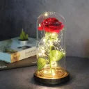 Photo 4 — Rose in a glass dome with LED light 20 cm, Red, battery-powered / Night light Everlasting rose / Flower in a dome