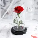 Photo 5 — Rose in a glass dome with LED light 20 cm, Red, battery-powered / Night light Everlasting rose / Flower in a dome