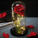 Photo 2 — Rose in a glass dome with LED light 20 cm, Red, battery-powered / Night light Everlasting rose / Flower in a dome