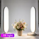 Photo 4 — LED light Desktop Fill Light K-52 CCT with remote control 3000-6500K (for bloggers and makeup artists) (66.0*19.0cm)