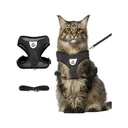 Photo 3 — Chest harness leash for dogs and cats, 120 cm, Size L, Black L5930 / Pet leash / Vest harness / Dog leash