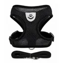 Photo 5 — Chest harness with leash for dogs and cats size S, black breathable mesh, chest girth 34 cm, leash 120 cm
