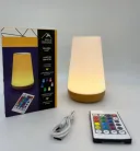 Фото 6 — Аккумуляторный ночник с USB зарядкой LED RGB лампа в спальню Villa Volance с пультом, изменение 13 цветов, регулировка яркости