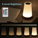 Фото 4 — Аккумуляторный ночник с USB зарядкой LED RGB лампа в спальню Villa Volance с пультом, изменение 13 цветов, регулировка яркости