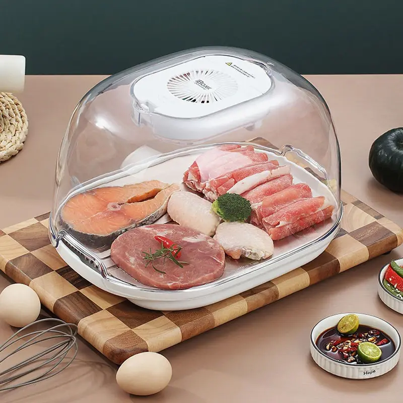 Defrosting Tray for Food